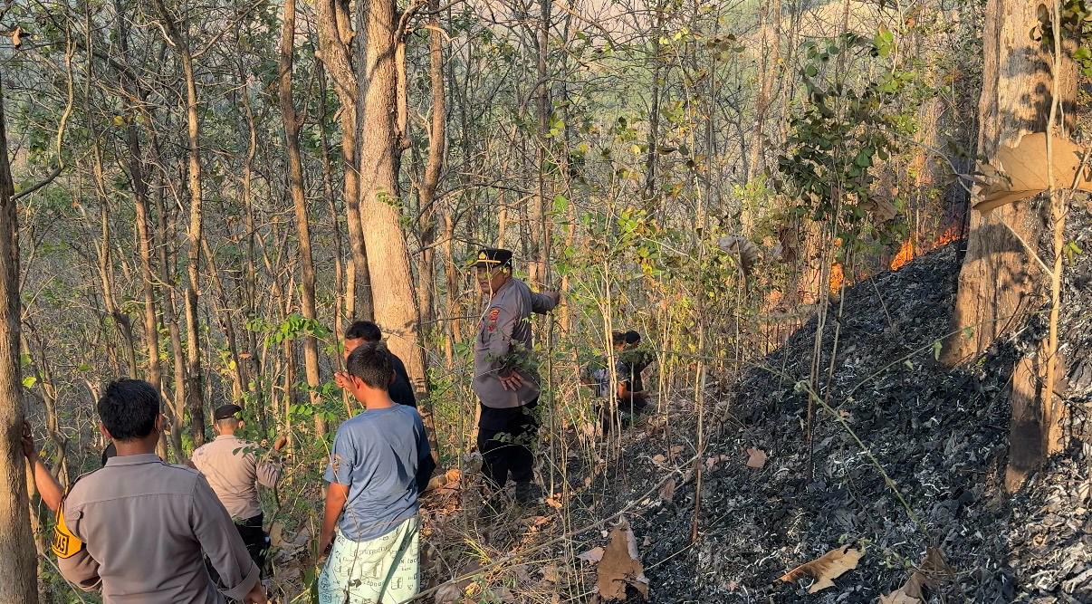 Kebakaran Lahan Perhutani Ajibarang Banyumas Meluas, Petugas Fokus Cegah Api Menjalar