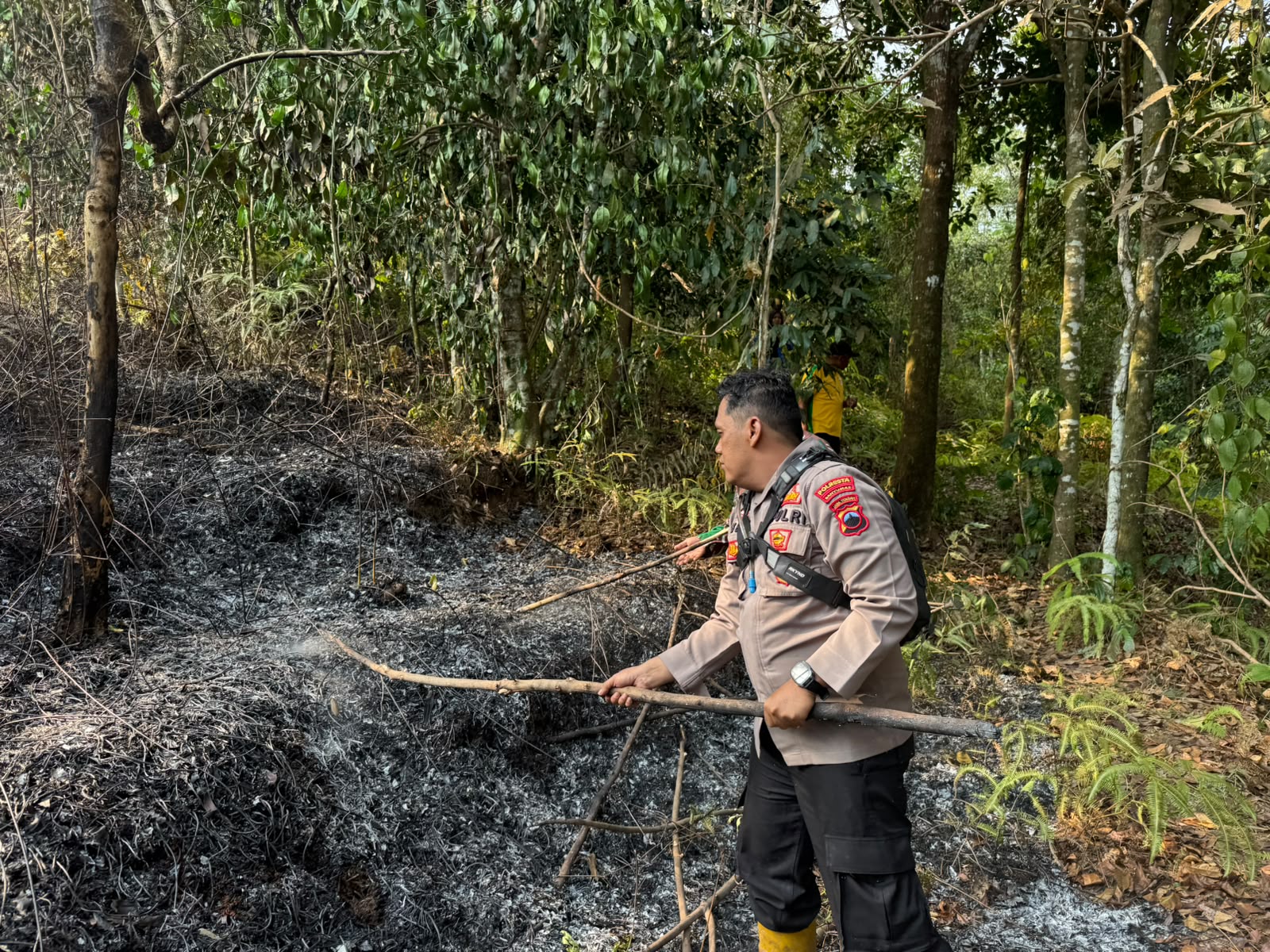Kebakaran Hutan Rakyat di Baturraden Banyumas Hingga 1,2 Hektare, Polisi dan Warga Bergerak Cepat Padamkan Api